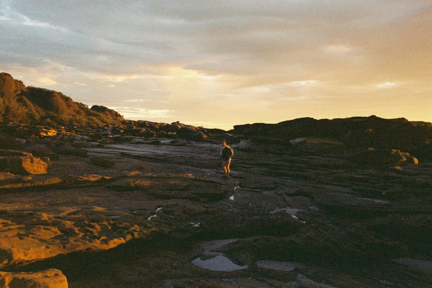 PENTAX MZ-50