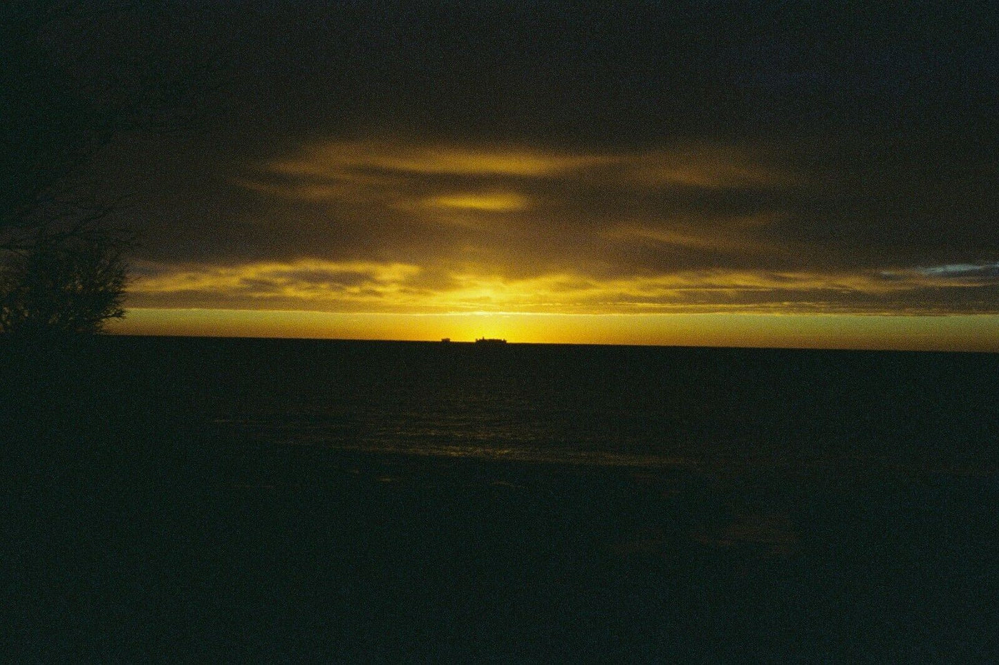 PENTAX MZ-50
