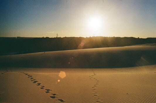 OLYMPUS OM 2  - 28mm f2.8