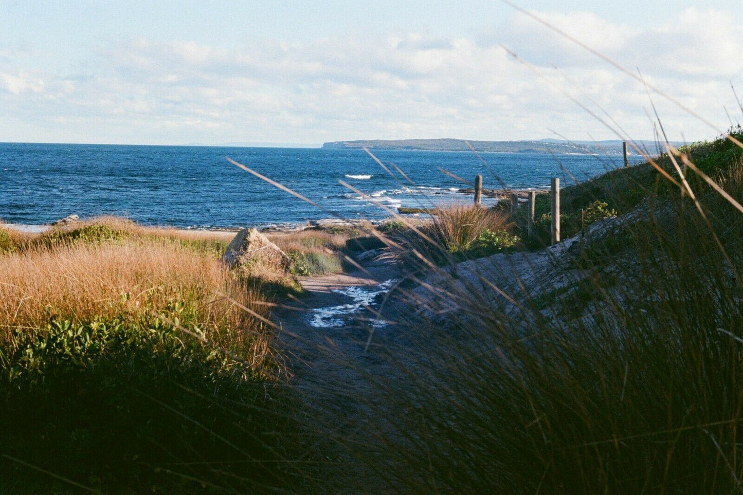 MINOLTA sr-1 SLR - 55mm f2 ROKKOR