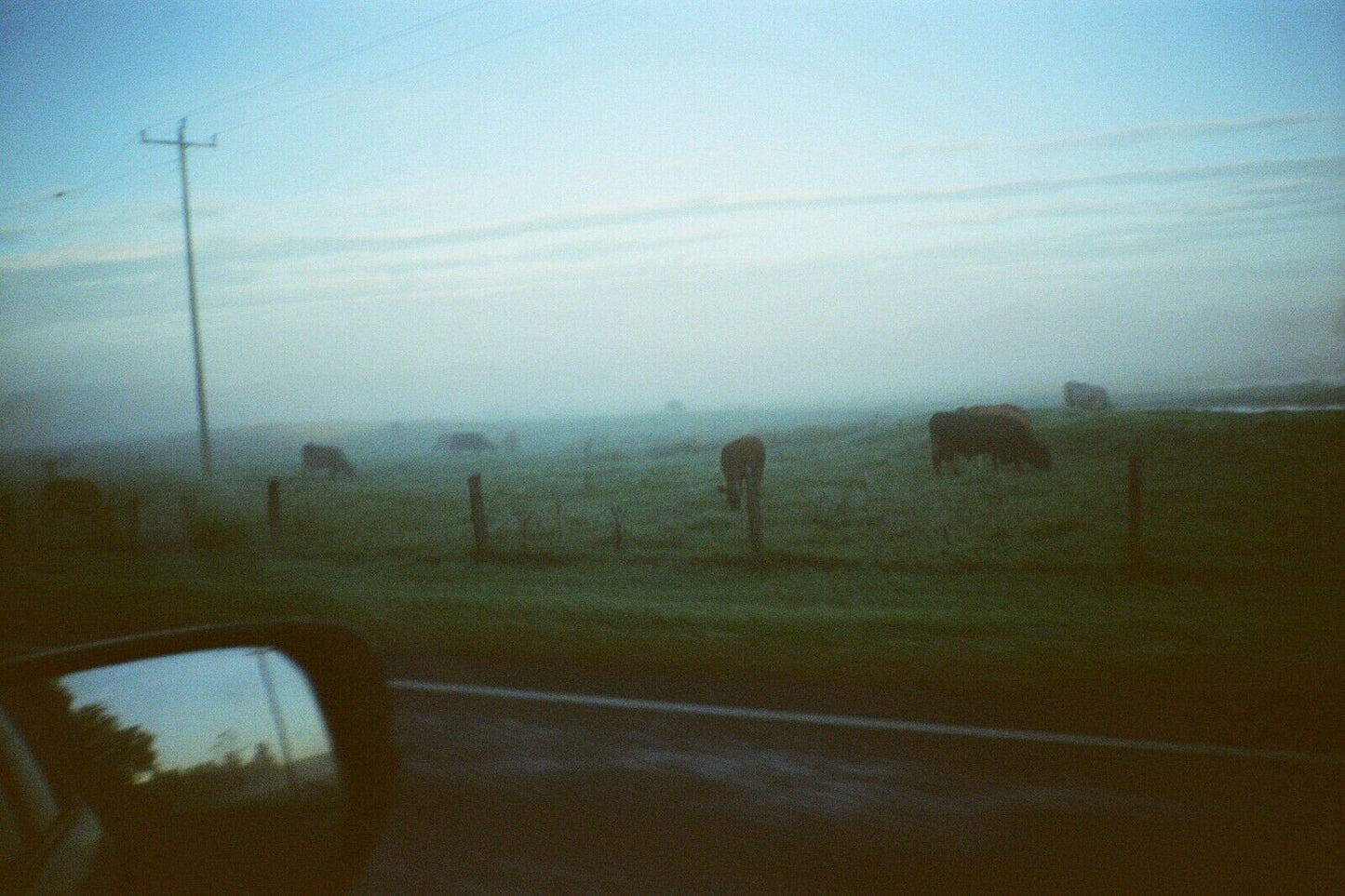MINOLTA action fx