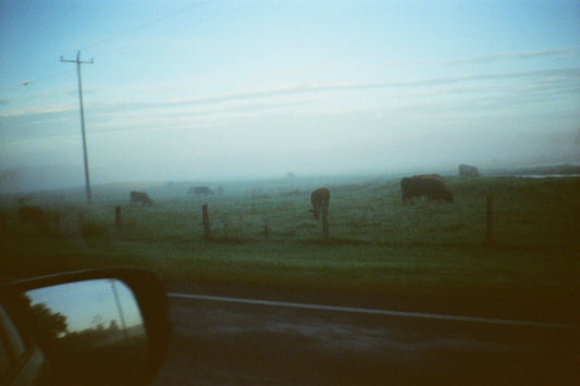 MINOLTA action fx