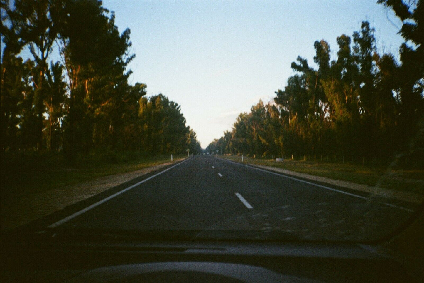 MINOLTA action fx
