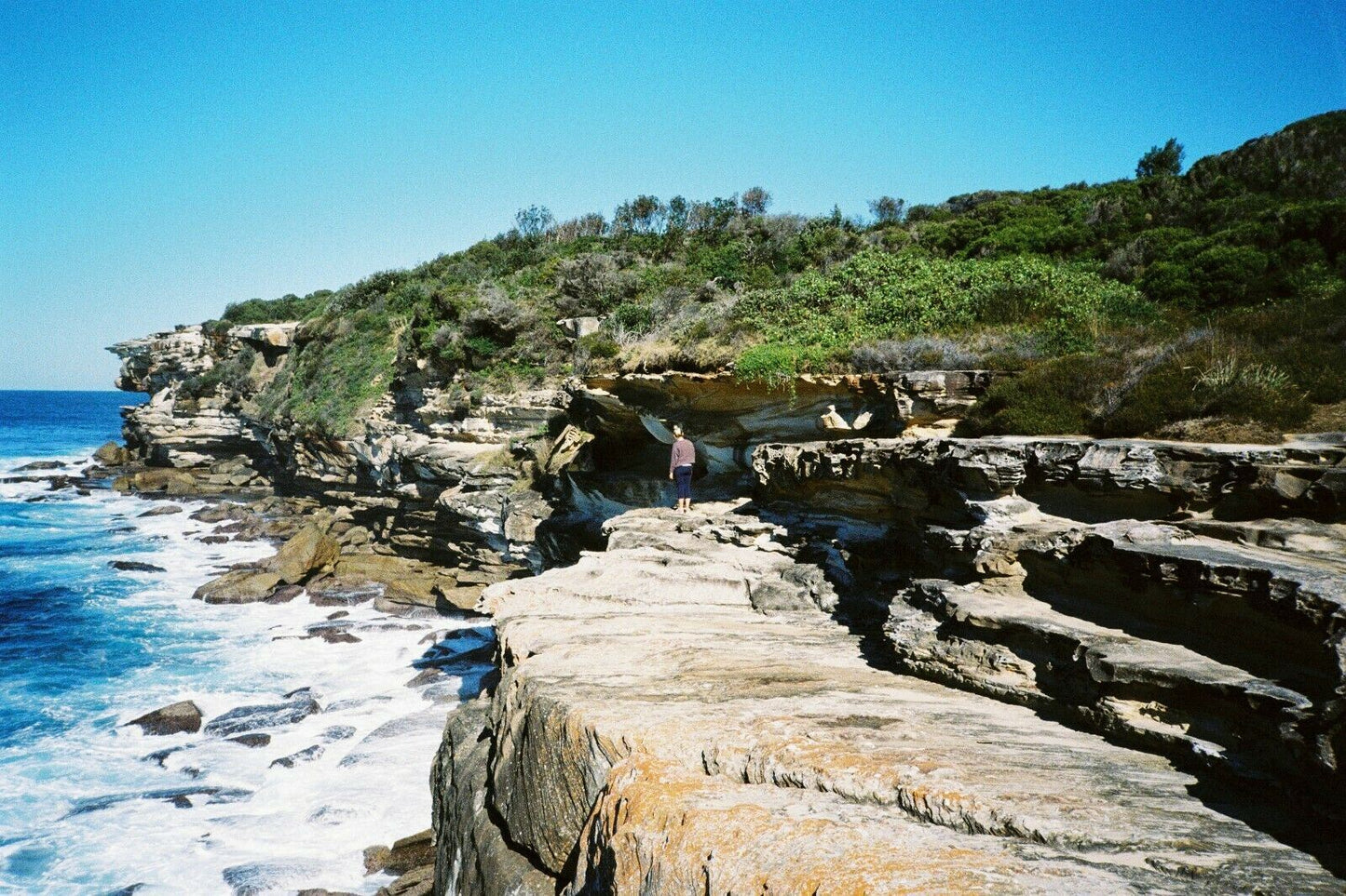 KODAK S500AF - DX programmed