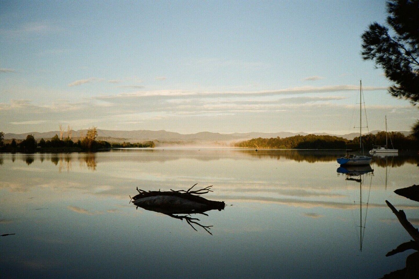 MINOLTA af e