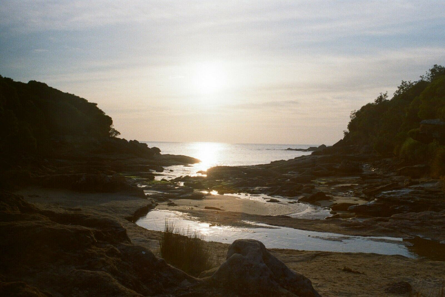 PENTAX sv - SuperTakumar 35mm